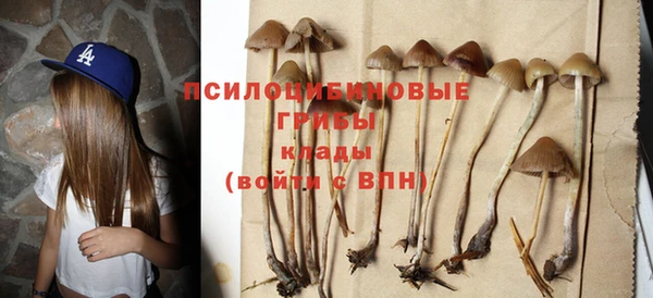 прущая мука Баксан